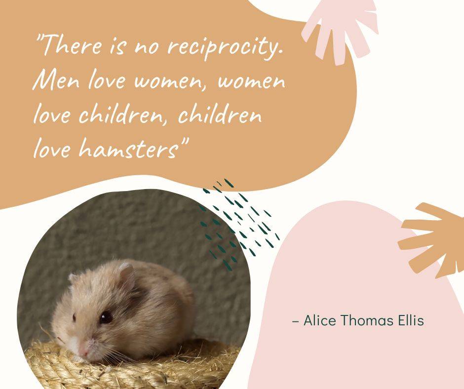 hamster love quote