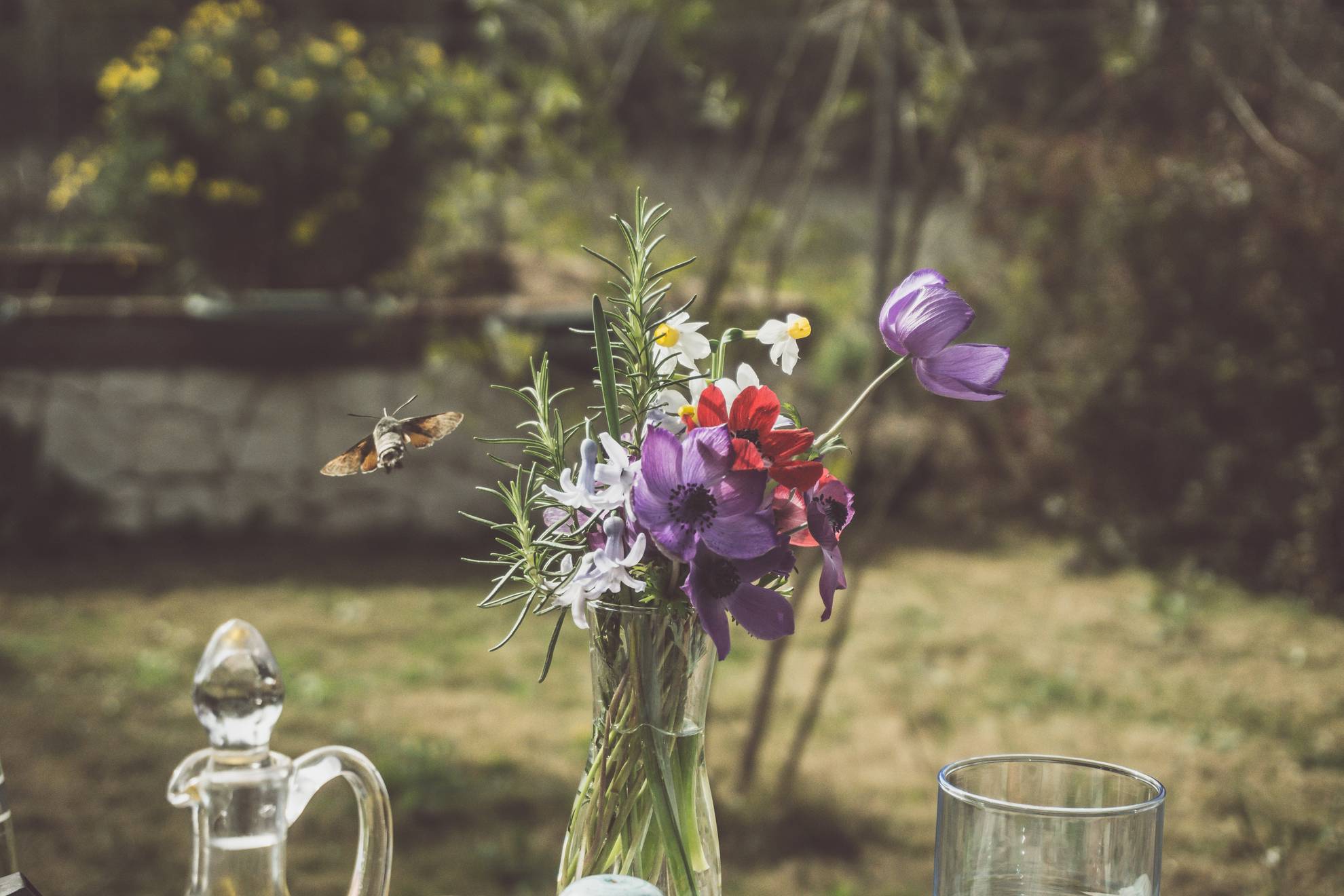a bee hovers by a bunch of flowers on a garden table