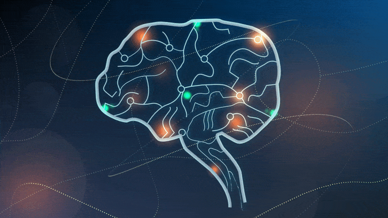 animated GIF showing lit up regions of a cartoon brain
