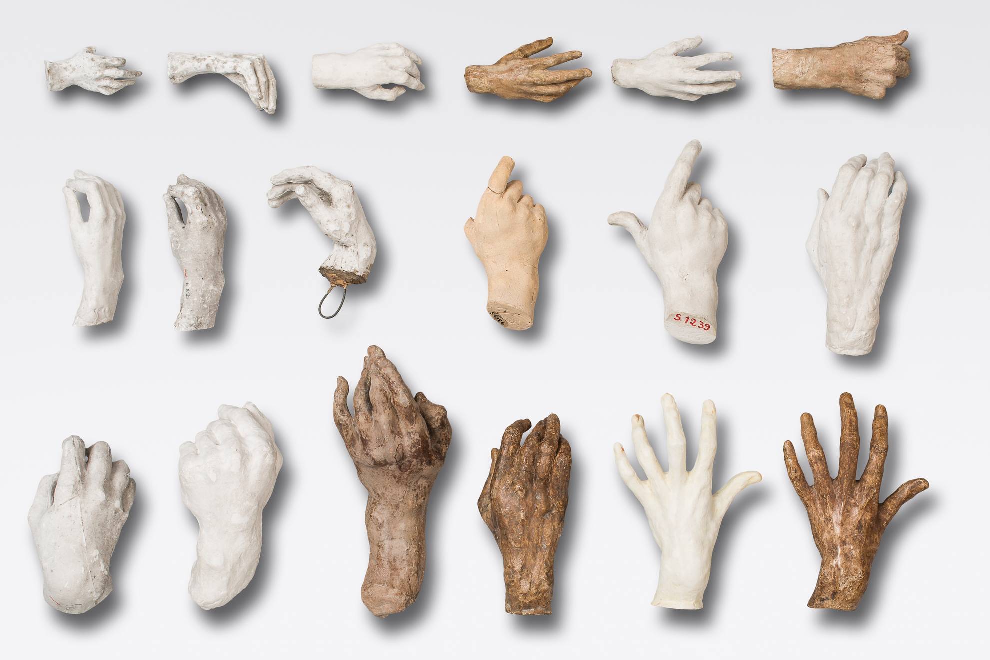 A selection of hands carved by Auguste Rodin