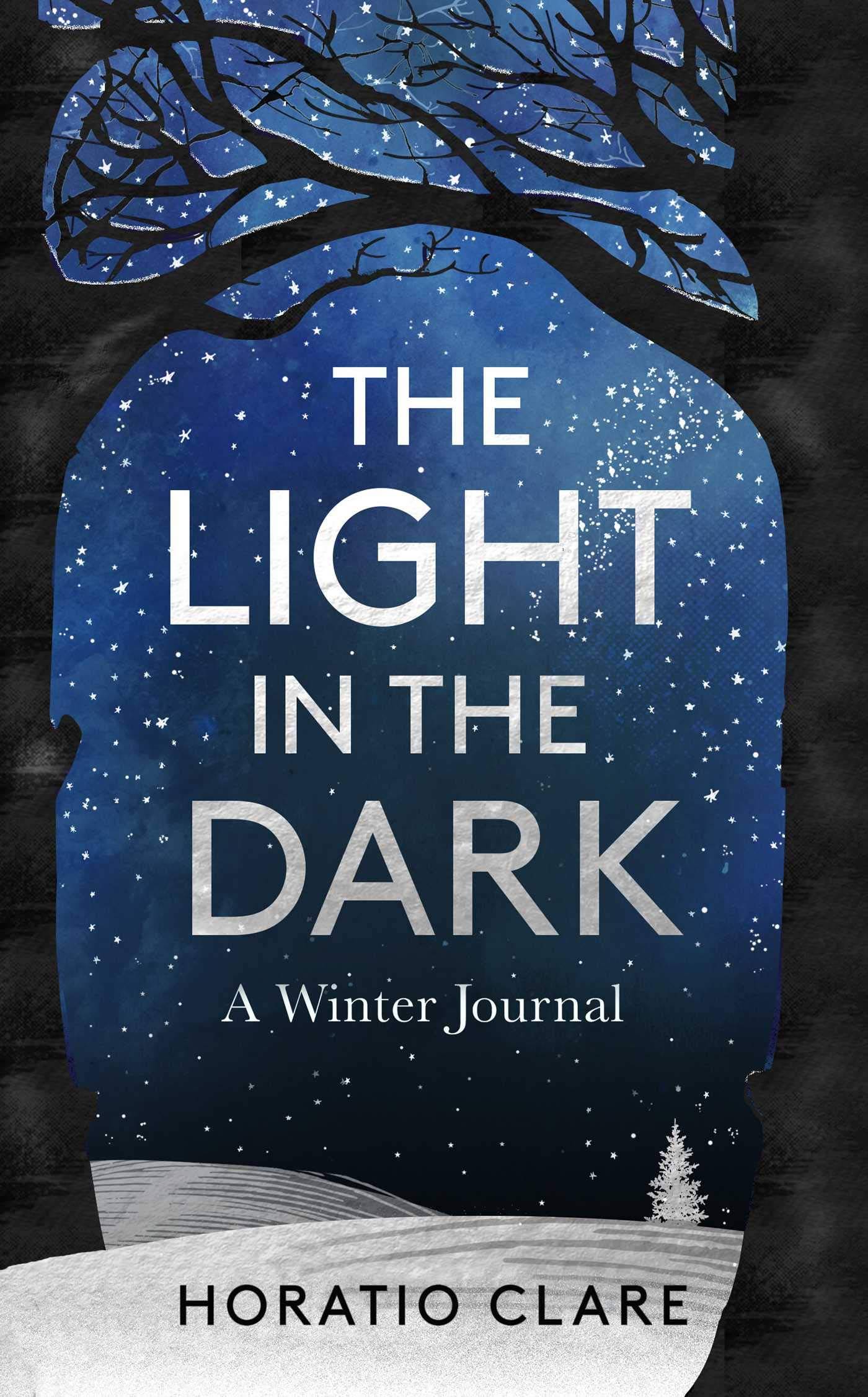 The Light in the Darkness: A winter journal by Horatio Clare