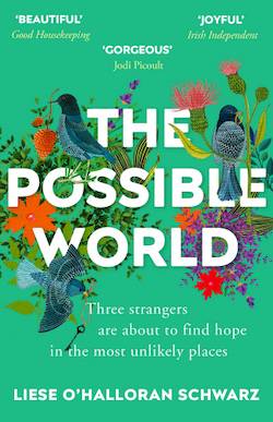 Book cover of The Possible World by Liese O'Halloran Schwarz