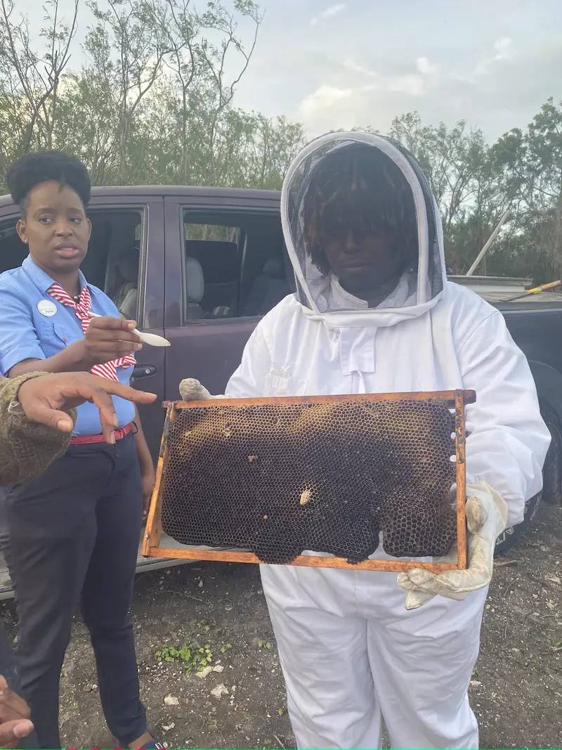 Beekeeper holds up beehive board on Antigua