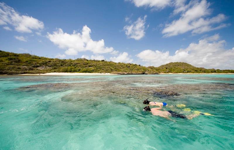 Two people snorkelling in blue sea off coast of Antigua