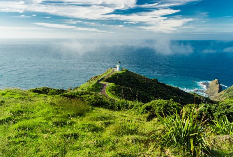White lighthouse at end of grassy path with sea in the background at Cape Reinga, New Zealand