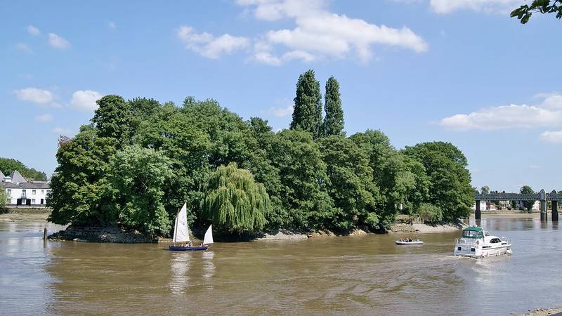 Oliver's Island in the Thames at Kew