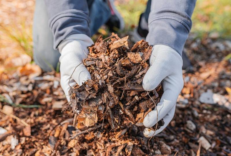 Person in gardening gloves uses wood chip mulch to make sustainable compost
