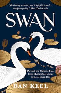 Swan: Portrait of a Majestic Bird, from Mythical Meanings to the Modern Day by Dan Keel