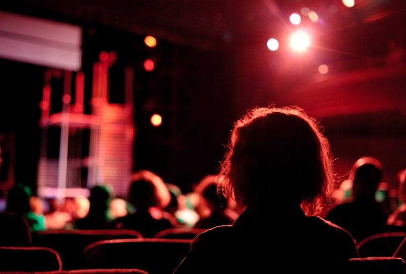 Back of person's head sitting in theatre audience