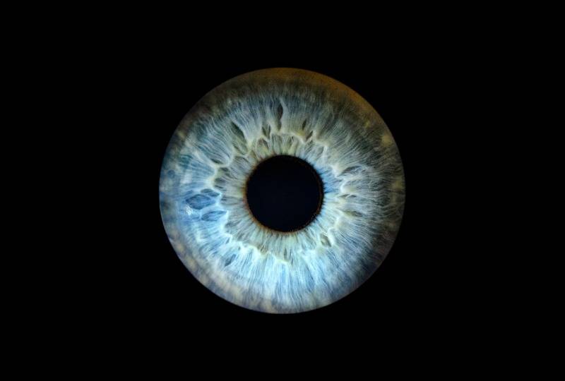 Macro shot of blue eye iris on black background
