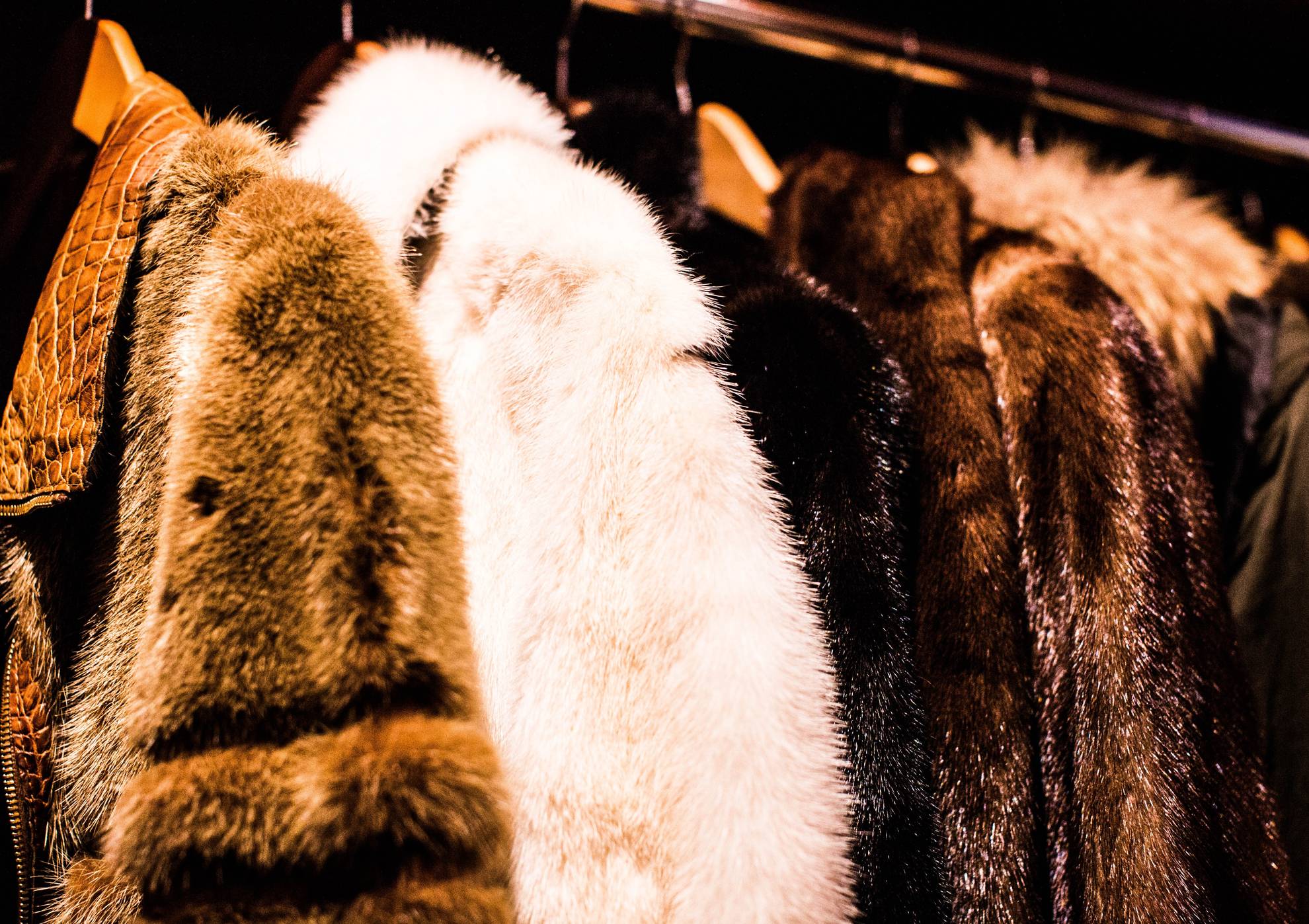 fur coats hanging in wardrobe