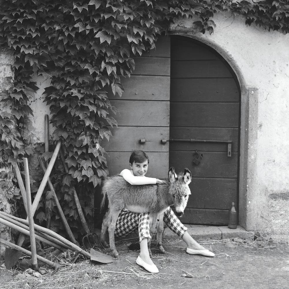 Audrey Hepburn with a baby donkey