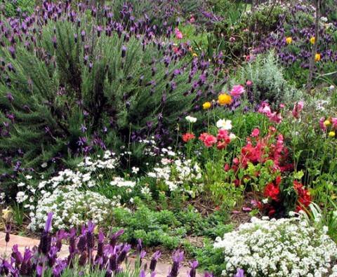 The top 17 superboosters to get your garden blooming