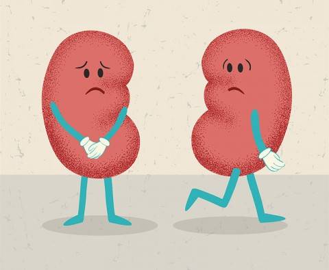 7 Ways to keep your kidneys healthy