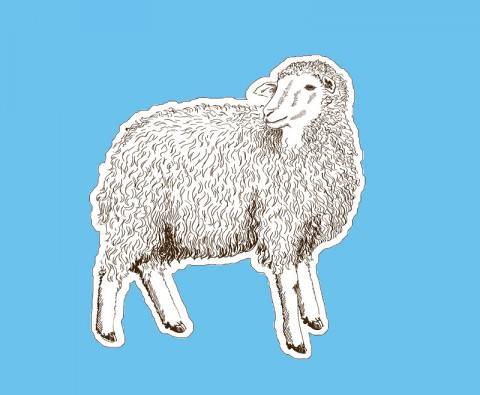 Review: The Trouble with Goats and Sheep by Joanna Cannon