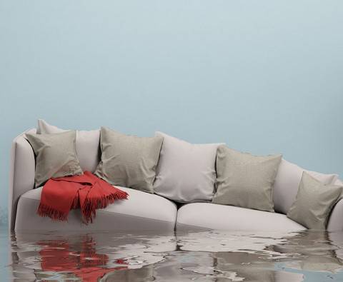 How to prevent water damage to your home
