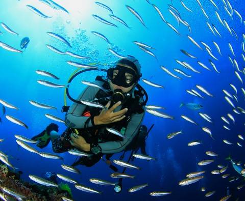 Take a 360° virtual dive around the Great Barrier Reef