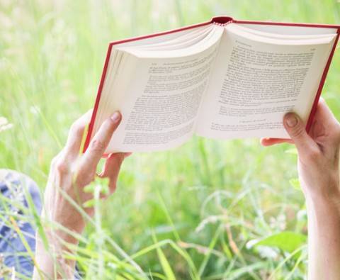 Recommended reads: 12 books to escape into this summer