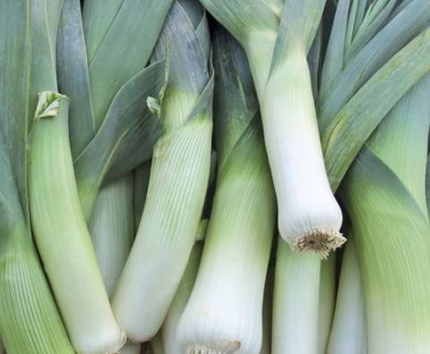 How to grow your own leeks