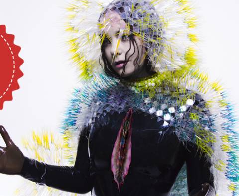 Björk - Vulnicura - A Bodily Experience