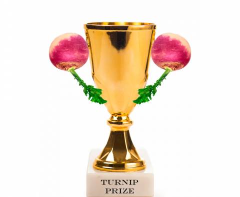 Turnip Prize Winners