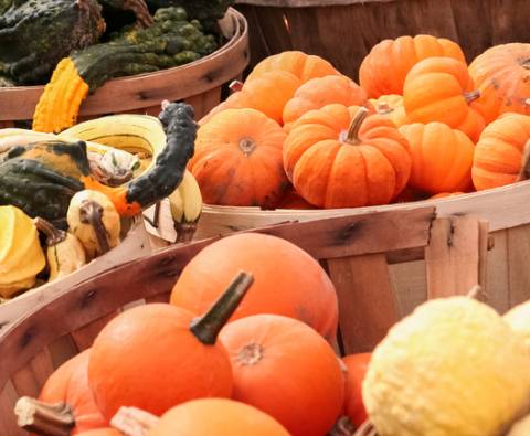 10 Wonderful ways with pumpkin and squash