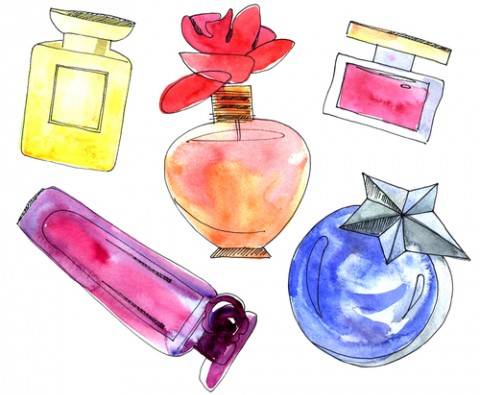 Scents and sensibility