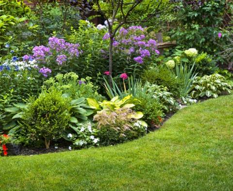 Low maintenance flower beds: planting perennials