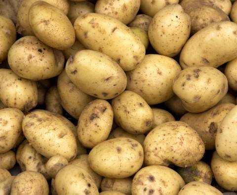 How to grow potatoes