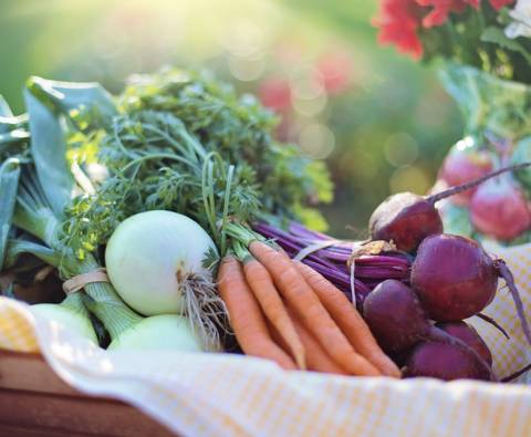 The importance of a vegetable nutrient chart