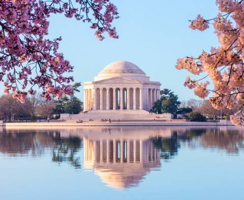 The ultimate guide to Washington DC