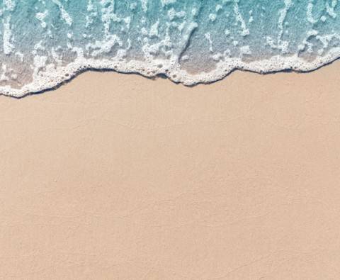 Life's a Beach: Summer film quiz