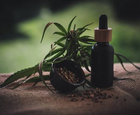 CBD Oil: Frequently Asked Questions