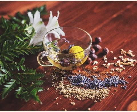 Top 10 Supplement Reviews on 7 herbal teas to help relieve stress and anxiety