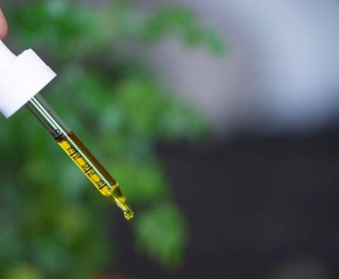 Myths and facts – 6 Things you probably got wrong about CBD