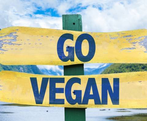 6 reason to become vegan