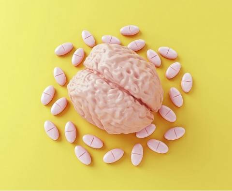 Best Nootropics: Top Brain Supplements