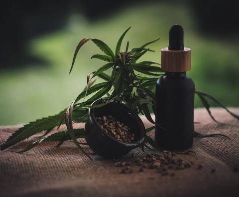 CBD oil vs. Tincture: differences and how to choose