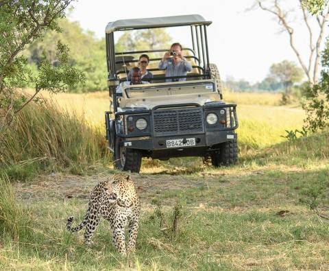 What to bring for a safari holiday