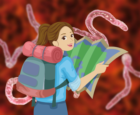 5 Ways to avoid parasites while travelling