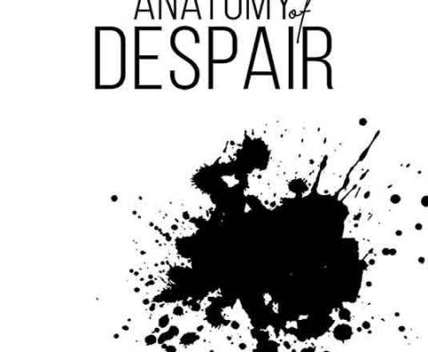 The Beautiful Anatomy of Despair by Niall Stewart