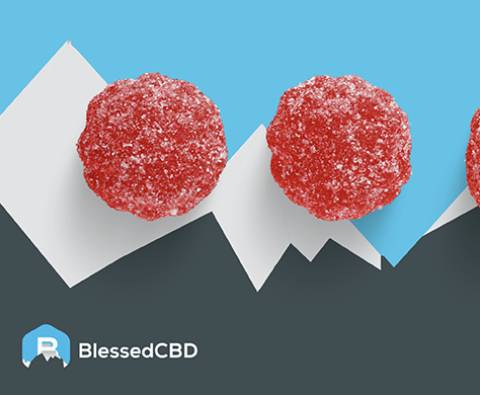 A guide to CBD gummies: Everything you need to know