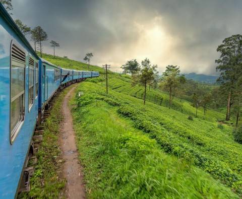 Travelling Sri Lanka's hill country by train