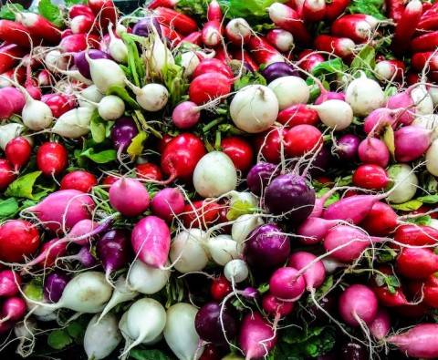 3 Recipes for using up radishes