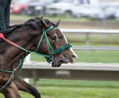 Horse racing purse money - How is it split