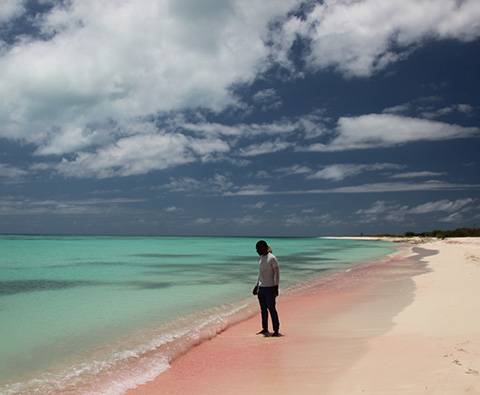 Searching for the elusive Barbuda Sands Cocktail