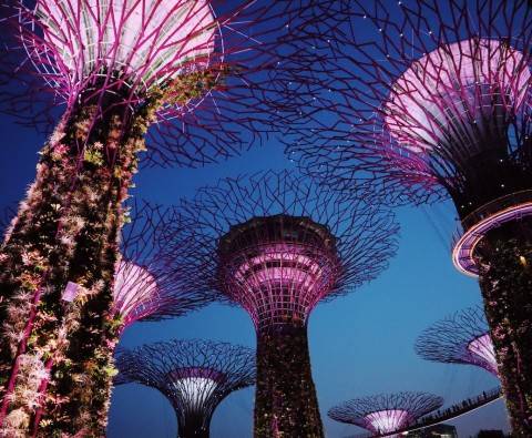 8 Reasons to choose Singapore as your TEFL destination