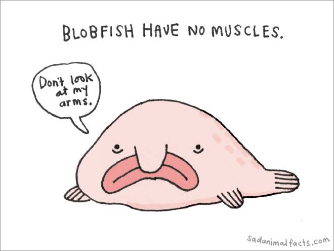 blobfish sad fact