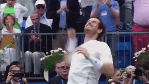 andy murray celebrating