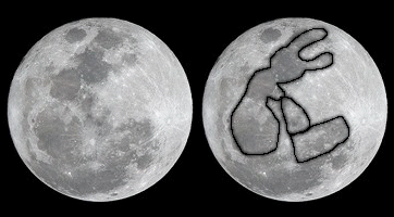 rabbit in the moon